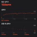 4분33초 | 8km 런닝 기록 비교 후기 :: 아식스 노바블라스트5 vs 나이키 인피니티런4
