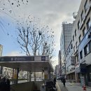 압구정박사공인중개사사무소 | 공인중개사 실무교육 후기 - 1편