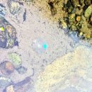 내린천펜션계곡사랑 이미지