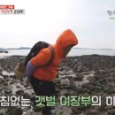 여왕벌민박 이미지