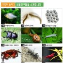 자연아놀자박물관 이미지