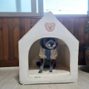 베베-멍 | 강아지집 추천 우리 아이를 위한 진짜 쉼터｜자연주의 감성 베베멍 애견하우스 솔직 후기