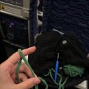 태화농장 | 11월 1일에 쓰려고 했던 25년10월부터의 일상(~11/23)