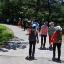 성골목장 이미지