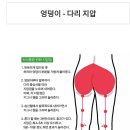 허리통증시 지압점 이미지