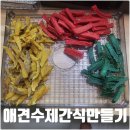 야옹아 멍멍해봐(수원 구운점) | 애견 수제간식만들기 너무 쉬워요^^