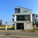 마이도그(My Dog) | 서귀포 안덕 웁스마이독 방문 후기 | 감성 가득한 반려견 용품숍