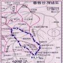 중원여행사