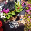 사상근린공원 이미지