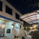 매월식당 | 광주 매월농원 오리 숯불구이 식당 내돈내산 후기