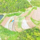 대신 태양광발전소 이미지