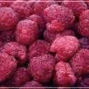 아침요가 이미지