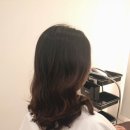 리즈파마 이미지