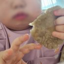 24년의 마지막 달 12월을 보내면서 쓰는 월간 일기