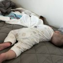 덕수동물병원 이미지