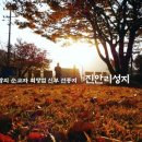 양업교구
