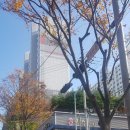 순천일성곱창왕지점 이미지