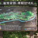 月坪公園 도솔산 둘레길 트레킹 이미지