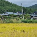 진성민박 이미지