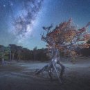 별이빛나는밤 - 북구 동천로 138-24 | 별이빛나는밤