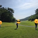 본24골프 이미지