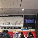 짱구네세탁소 | TOKYO #1 : 신주쿠 피어슨뷰 엔클렉스