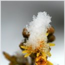 하얀이불 이미지