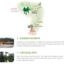 7.4(토)~5(일) / 한국의 차마고도 울진 금강소나무숲 힐링트레킹&무섬마을, 닭실마을 신청하세요 이미지