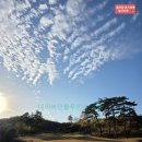 세컨더블비 이미지