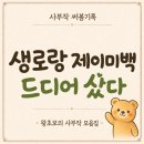 생로랑 제이미 쇼퍼 스몰 구매 후기｜더현대 리워드·상품권 할인 계산까지