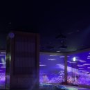 바이킹해수랜드 | 🎈여름휴가 - 제주 여행 #2