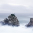 어제와 오늘의 얼굴 이미지