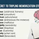 50패턴으로 완성하는 랜드마크 스페인어회화 Step 3 | 영어 단어장 직접 만들기, 암기 효율 3배 높이는 비법