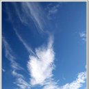 석2주유소 이미지