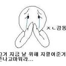 이태리광수 이미지