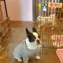 동석에너지 이미지