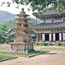 사찰성보문화재 50選 ㅡ 38. 부여 무량사 오층석탑 출토 금동불상 일괄 이미지