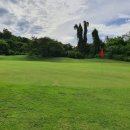 세븐스타 이미지