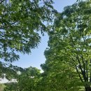 미단시티8호 근린공원 이미지