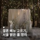 나루텍 | [웨딩홀]서울 밝은 웨딩홀 정리