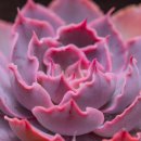 동운슈퍼 이미지