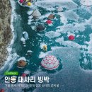 대사리 | 안동 대사리 빙박 후기 겨울 백패킹과 현재 얼음 상태와 준비물