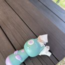 수룡폭포화장실 | [충북/충주] 이른아침캠핑장, 반려동물동반가능(2,3,4사이트) 재방문의사 없음