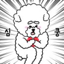 HC모터스 이미지