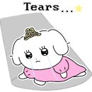 늘푸른 정육식당 이미지