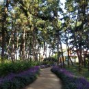 GS25 장항솔바람점 이미지