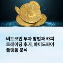 비트코인 투자 방법과 카피트레이딩 후기, 바이드파이 플랫폼 분석