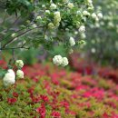 나문재관광농원 이미지