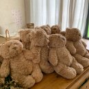 170 | 대전아기사진 후기 마틴스 쇼룸 170일 아기 촬영 후기