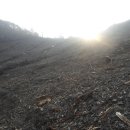 우리사슴목장 이미지